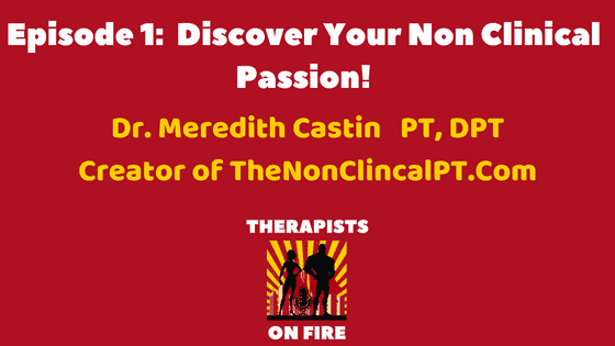 THERAPISTS ON FIRE Podcast Dr. Meredith Castin